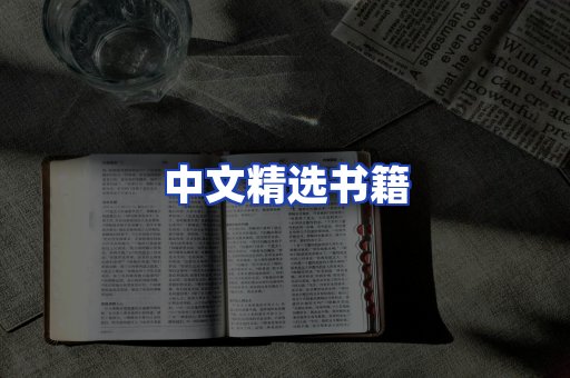 中文精选书籍